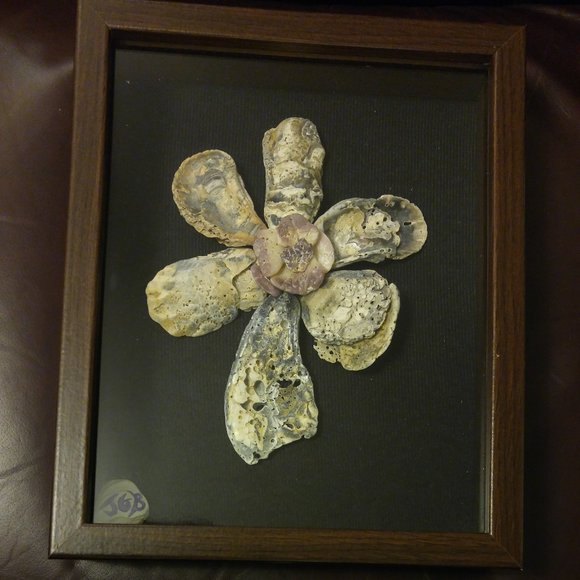 Shell Flower 9 x 12 inch shadow box - Picture 5 of 5